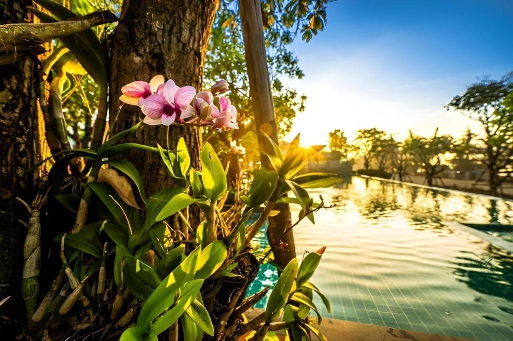 Chatnipa Beach Resort By Morseng Ban Hat Lek Buitenkant foto